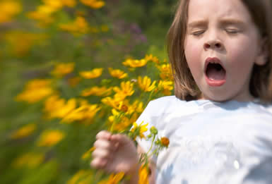 allergy_385x261